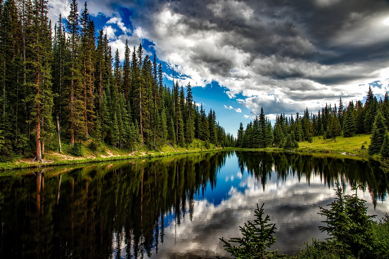 lake, conifers, clouds, trees, sky, cloudy sky, coniferous, conifer forest, forest, woods, woodlands, lake irene, colorado, water, reflection, water reflection, landscape, scenic, idyll, nature, outdoors, wilderness, countryside, rural, lake, lake, trees, sky, forest, forest, forest, forest, forest, colorado, water, nature, nature